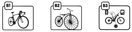 pic b